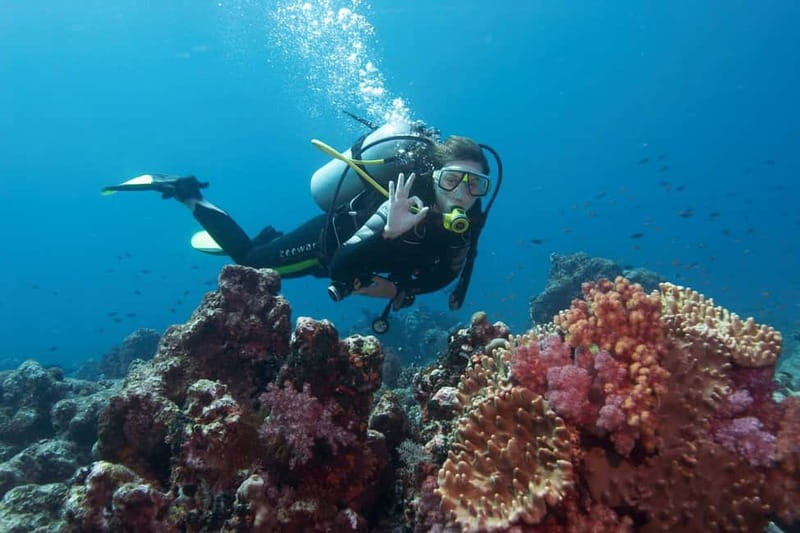 Antalya/Kemer: Scuba Diving Experience with 2 Dives & Lunch - Is $29 good value?