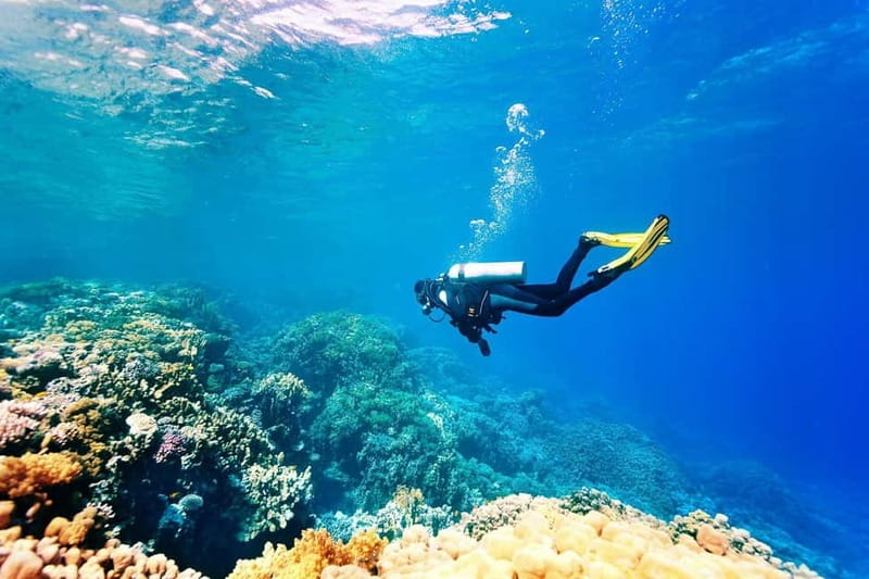 Antalya/Kemer: Scuba Diving Experience with 2 Dives & Lunch - Camyuva briefing: your first contact with the equipment