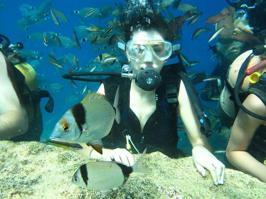 Antalya/Kemer: Scuba Diving Experience with Lunch & Pick up - What this Kemer sea day is really like