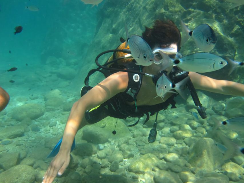 Antalya/Kemer: Scuba Diving Experience with Lunch & Pick up - Aquarium Bay and the first underwater session