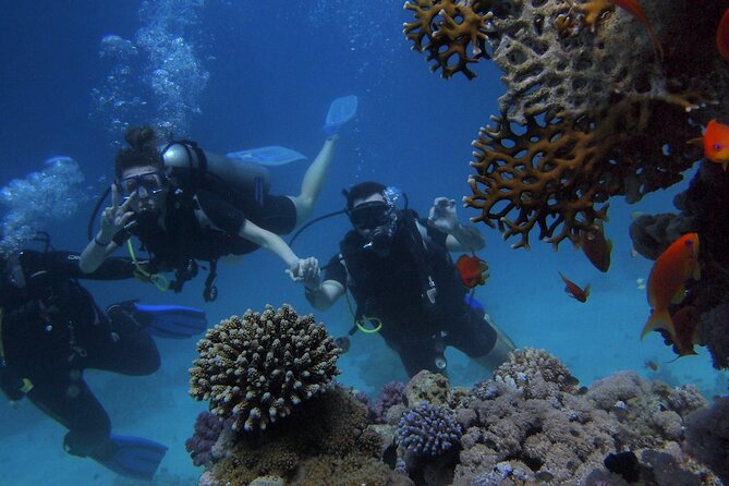 Antalya/Kemer Scuba Diving with Pickup, Lunch, and 2 Dives - What the $35 Kemer trip is really offering