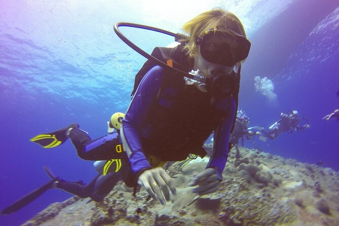 Antalya/Kemer Scuba Diving with Pickup, Lunch, and 2 Dives - Value, safety, and the final booking decision