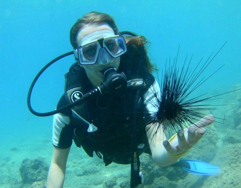 Antalya/Kemer: Scuba Diving with Pickup, Lunch, and 2 Dives - What the $24 price really buys you
