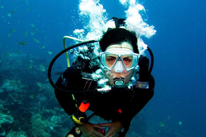 Antalya Scuba Diving at Mediterranean Sea incl. Lunch - Kemer marina, lunch, and the rhythm of the day
