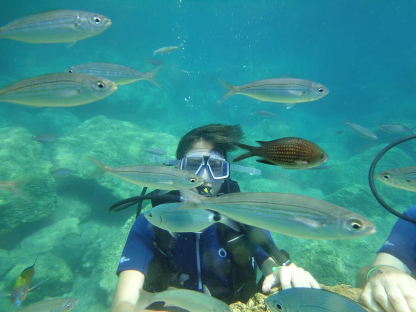 Antalya Scuba Diving Tour, With Lunch & Return Transfers - Should you book the $38 trip?