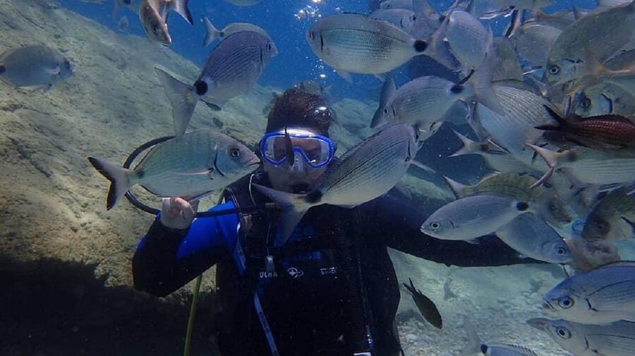 Antalya Scuba Diving Tour, With Lunch & Return Transfers - What the certificate ceremony adds