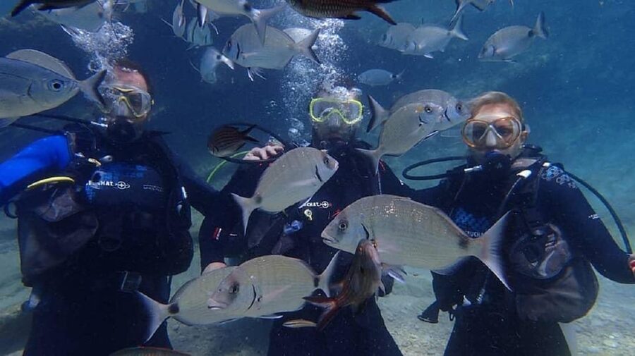 Antalya Scuba Diving Tour, With Lunch & Return Transfers - Practical ways to make the day better