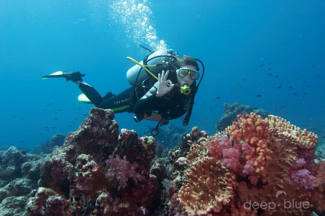 Antalya Scuba Diving W/Lunch & Transfers - Getting ready at the boat