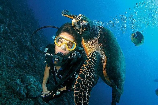 Antalya Scuba Diving W/Lunch & Transfers - Lunch between the two sessions