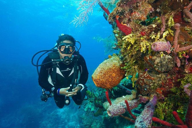 Antalya Scuba Diving W/Lunch & Transfers - What the $54.13 price really covers
