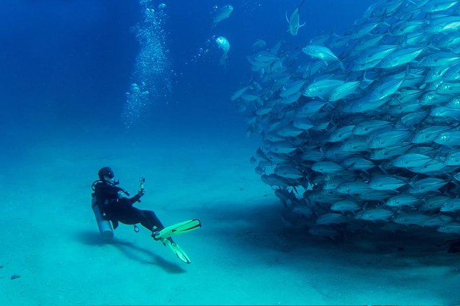 Antalya Scuba Diving W/Lunch & Transfers - Who will enjoy this outing most