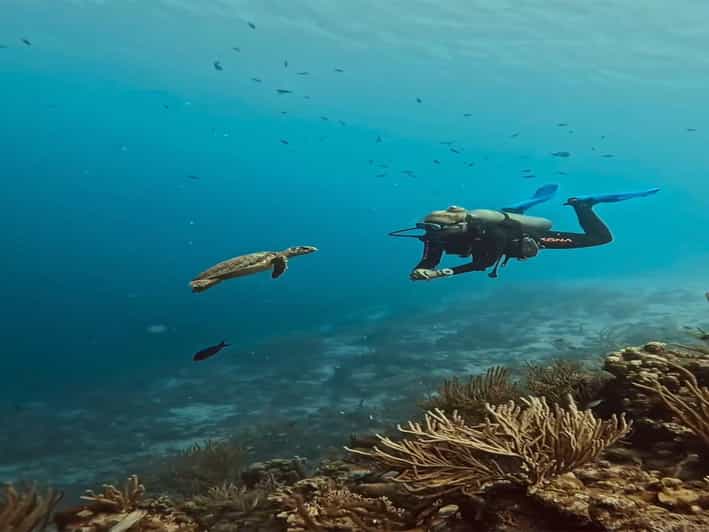 Antalya, Side and Alanya: Scuba Diving with Lunch & 2 Dives - Hotel pickup from Side, Alanya, and nearby resorts