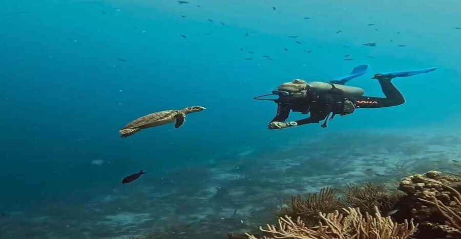 Antalya, Side and Alanya: Scuba Diving with Lunch & 2 Dives - The first session reaches about six meters