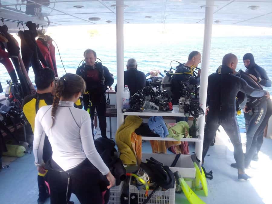 Aqaba: 2 Guided Dives Boat Trip with Gear and Buffet Lunch - First underwater session: coral, fish, and wreck possibilities