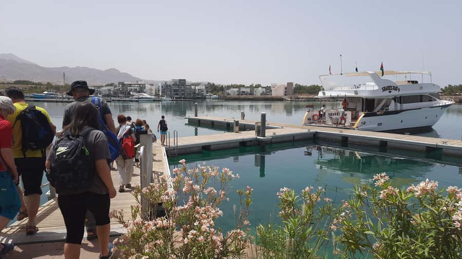 Aqaba: 2 Guided Dives Boat Trip with Gear and Buffet Lunch - Second underwater session: more time for the wrecks