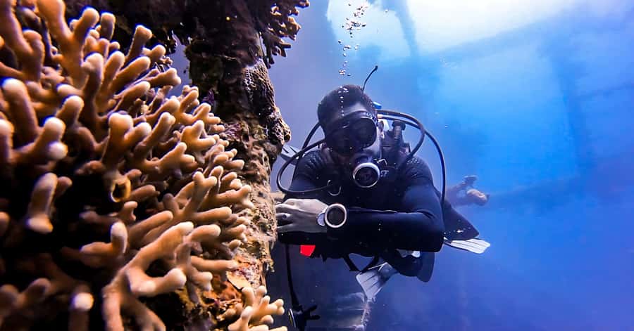 Aqaba Dive Adventure: Explore The Red Sea On A Tour - Key points to know before you book