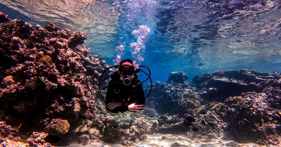 Aqaba Dive Adventure: Explore The Red Sea On A Tour - Who should choose this Aqaba experience