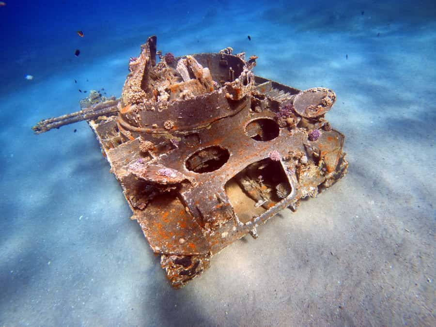 Aqaba: Private Red Sea Diving for Beginner or Experienced - What makes this Aqaba experience worth considering