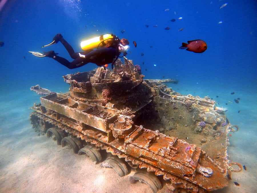 Aqaba: Private Red Sea Diving for Beginner or Experienced - Entering the Red Sea from Aqaba’s beach