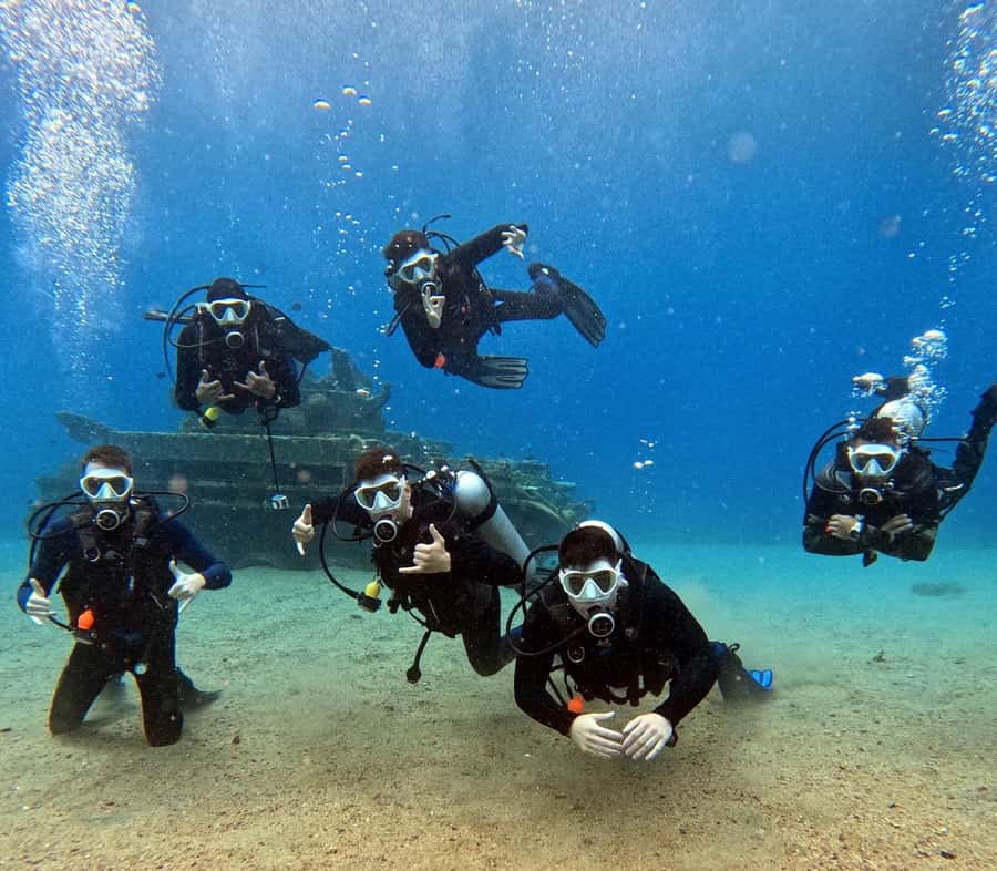 Aqaba: Private Red Sea Diving for Beginner or Experienced - What you may see below the surface