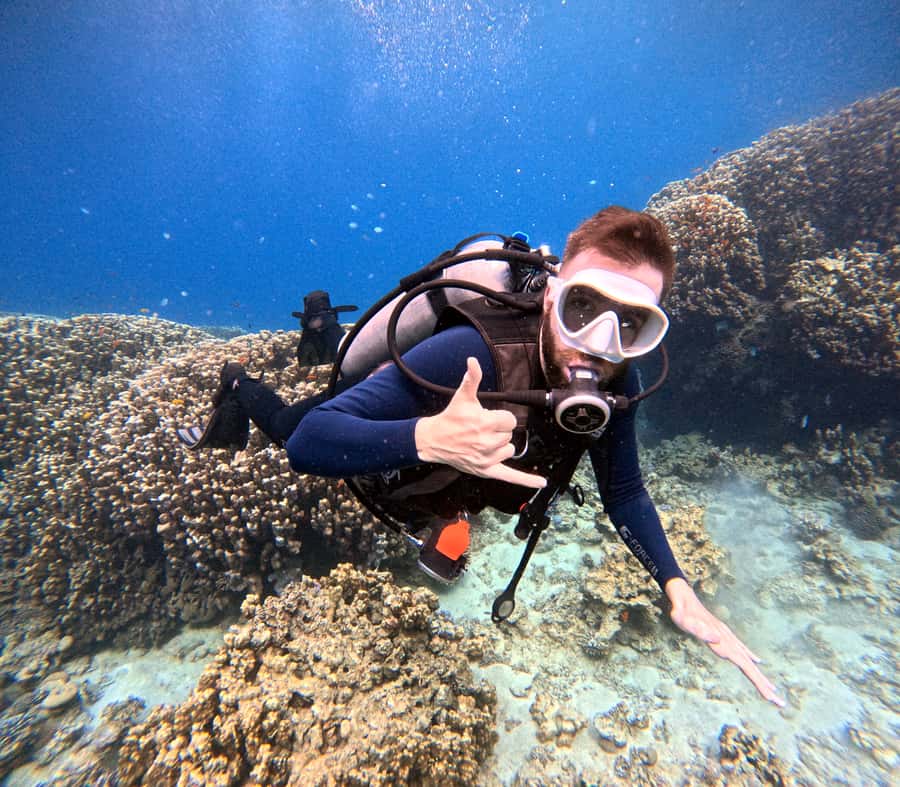 Aqaba: Private Red Sea Diving for Beginner or Experienced - Why private instruction makes a difference