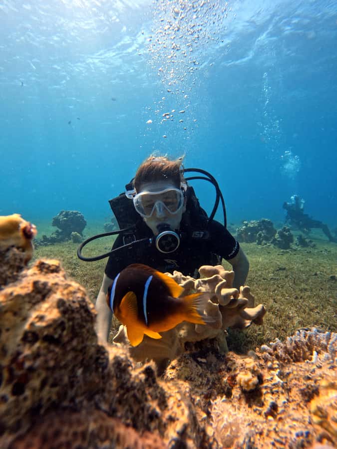 Aqaba: Private Red Sea Diving for Beginner or Experienced - Timing, heat, and facilities