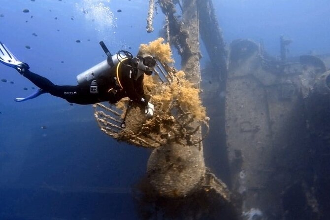 Aqaba Private Scuba Diving Activity with Pick Up - How the guides help beginners