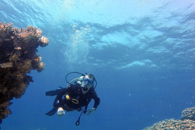 Aqaba Private Scuba Diving Activity with Pick Up - What the $56.58 price includes