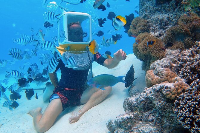 Aqua Safari Introductory Helmet Dive (Underwater Walk) - Key points to know before you book