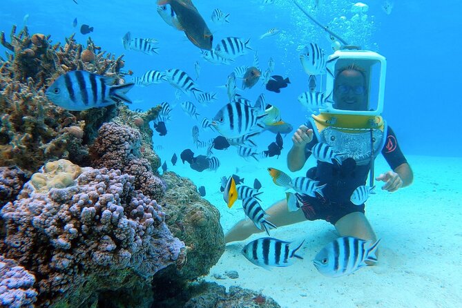 Aqua Safari Introductory Helmet Dive (Underwater Walk) - Why this helmet walk works for non-swimmers
