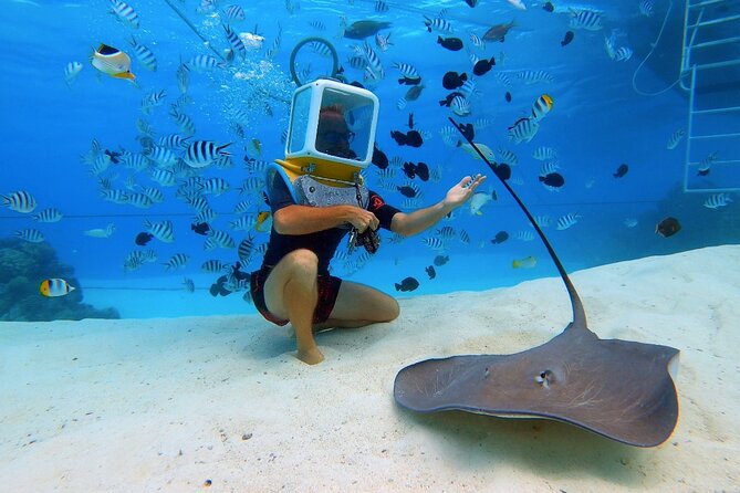 Aqua Safari Introductory Helmet Dive (Underwater Walk) - The guides make the biggest difference