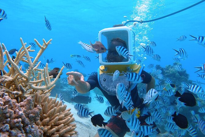 Aqua Safari Introductory Helmet Dive (Underwater Walk) - The briefing, equipment, and first descent