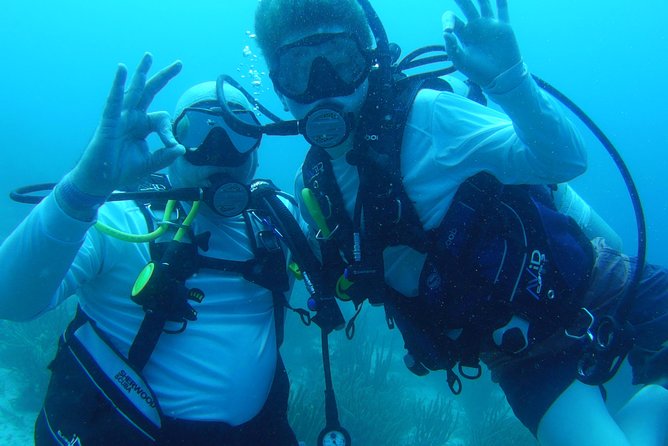 Aruba 1-Tank guided Dive for certified divers with own equipment - The main limitation: timing and coordination
