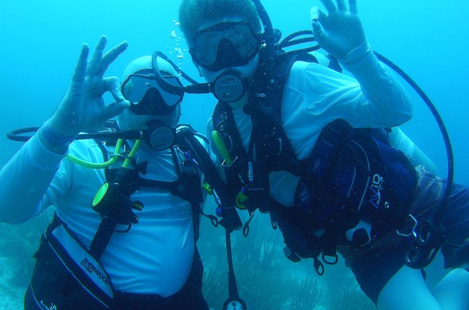 Aruba 1-Tank guided Dive for certified divers with own equipment - Safety, certification, and flying after the activity