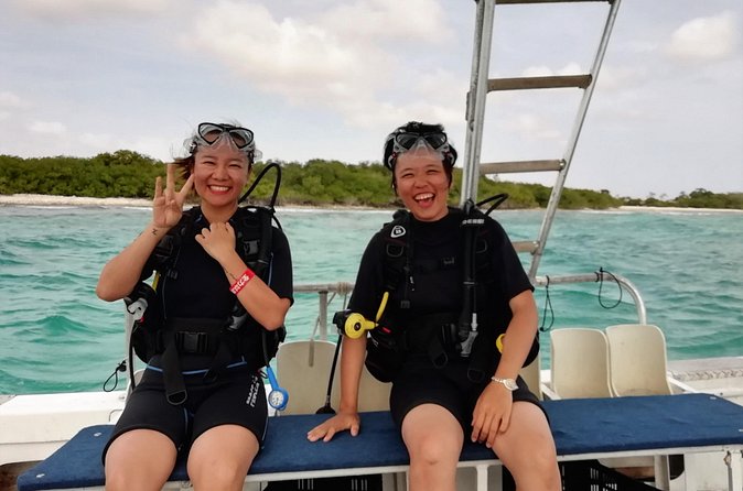 Aruba 1-Tank guided Dive for certified divers with rental equipment - Pickup points and the practical side of the day