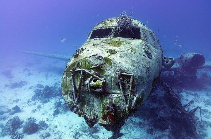 Aruba 1-Tank guided Dive for certified divers with rental equipment - Who should book this trip?