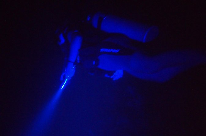 Aruba 1-Tank guided UV Night Dive for certified divers with rental equipment - How the two-hour schedule works