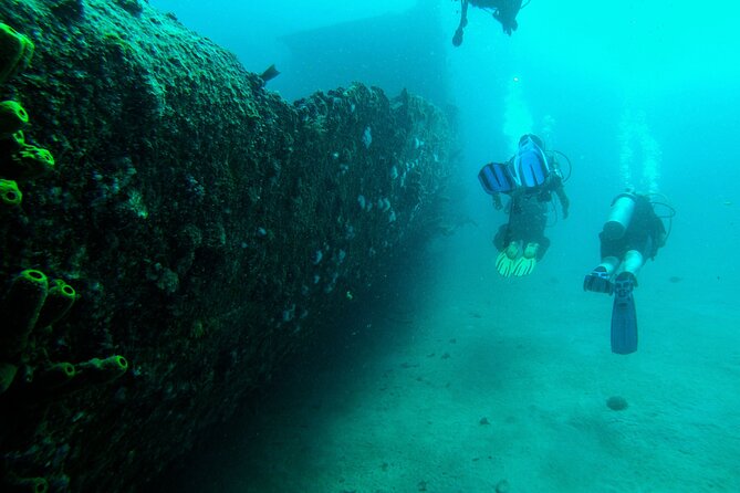 Aruba 2-Tank Dive Excursion for Certified Divers - Aruba’s reefs, wrecks, and possible marine life