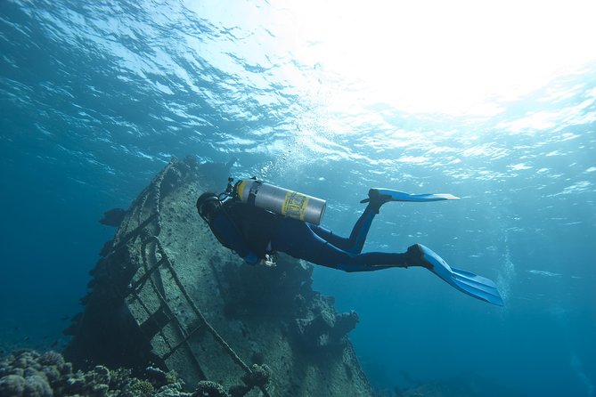 Aruba 2-Tank Dive Excursion for Certified Divers - Guides who stay close to the group