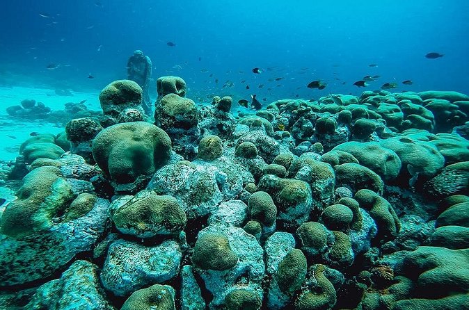 Aruba 2-Tank Dive Excursion for Certified Divers - Is $99 a good value?