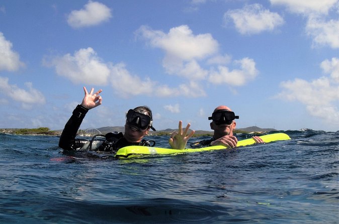 Aruba 2-Tank Guided Dive for Certified Divers / rental equipment - Practical timing advice for resort and cruise passengers