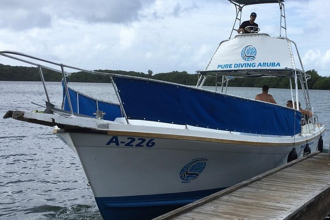 Aruba 2-Tank Guided Dive for Certified Divers / rental equipment - The first underwater visit near Oranjestad