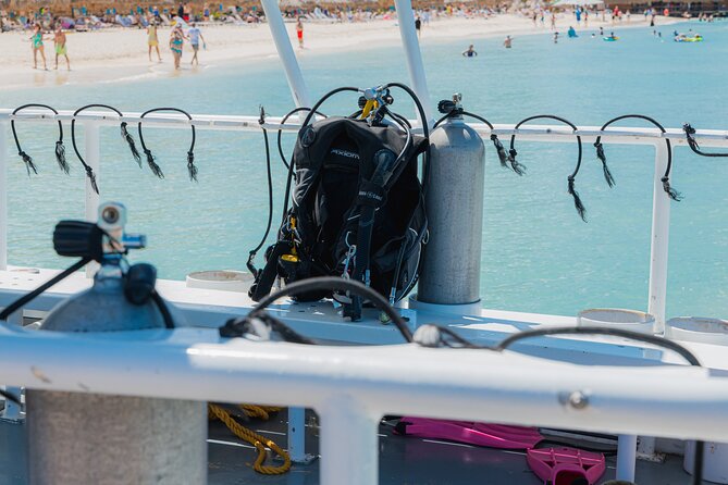 Aruba Certified Scuba Diving - Marine life is a strong reason to bring your own attention