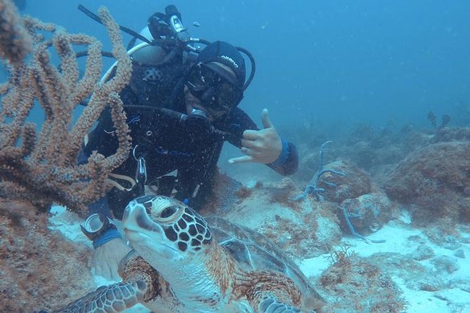 Aruba Certified Scuba Diving - What happens at the Aruba Watersports Center