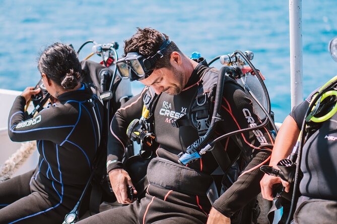 Aruba Guided Night Dive Adventure: Shallow Reefs or Shipwrecks - Aruba after sunset feels like a different sea