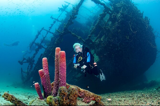 Aruba Guided Night Dive Adventure: Shallow Reefs or Shipwrecks - Choosing between a reef and a shipwreck