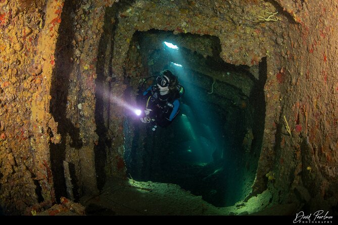 Aruba Guided Night Dive Adventure: Shallow Reefs or Shipwrecks - What makes the wildlife different at night