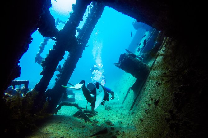 Aruba Guided Night Dive Adventure: Shallow Reefs or Shipwrecks - Practical planning before you reserve