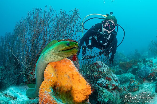Aruba One or Two Tank Scuba Dive - Why the Antilla makes this Aruba boat trip special