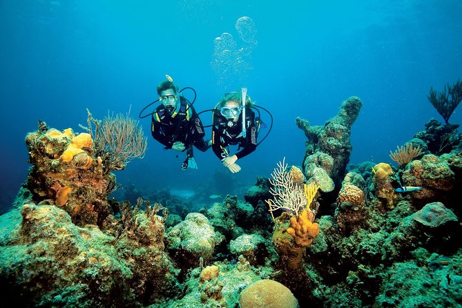 Aruba One or Two Tank Scuba Dive - The value of the small-group approach